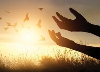 Message aux Artisans de Lumière – 12 juillet 2021